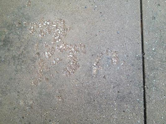 rock salt damage on concrete